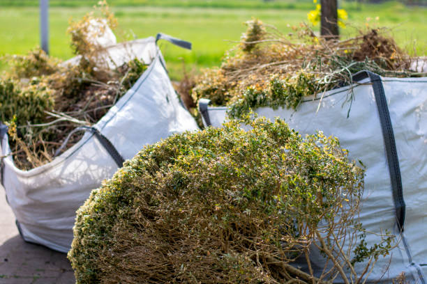 Best Household Junk Removal  in Abita Springs, LA